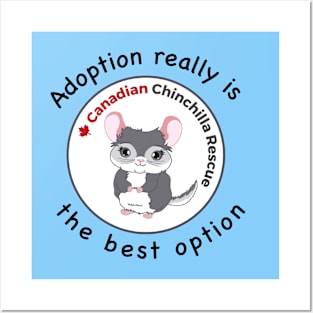 Ccr adoption option Posters and Art